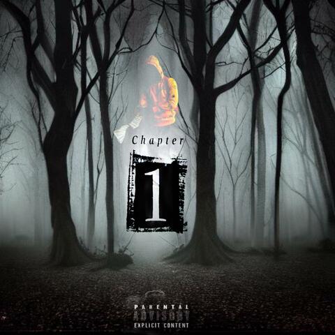 Chapter 1