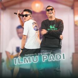 Ilmu Padi