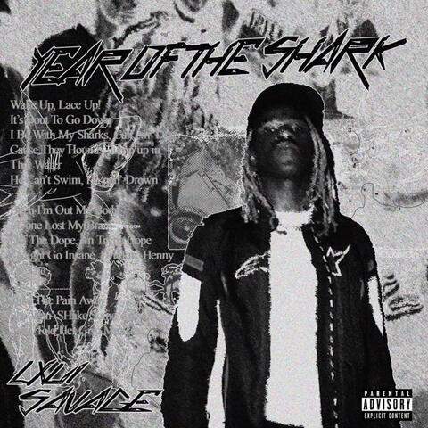 YEAR OF THE SHARK