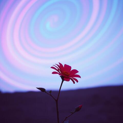 春雷の叫び
