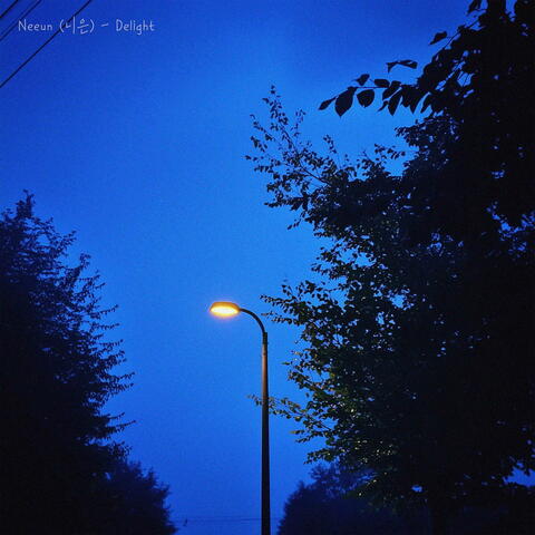 Delight