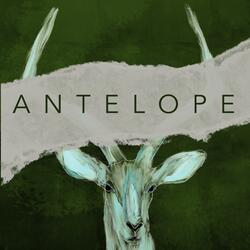 The Antelope