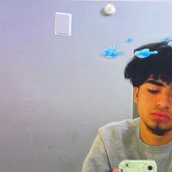 dummy