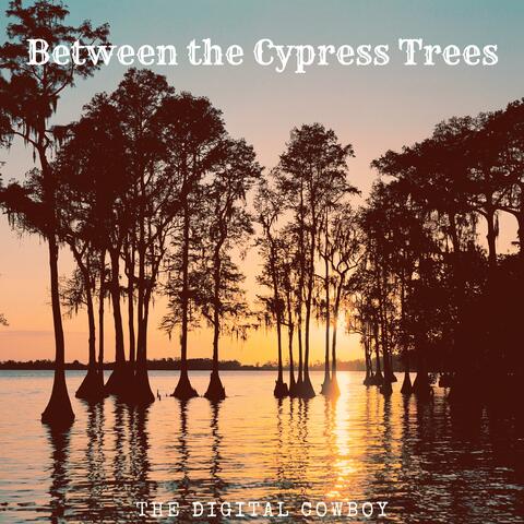 Between the Cypress Trees