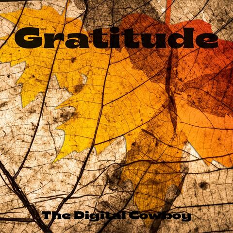 Gratitude