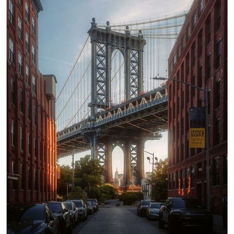 99 Went To New York
