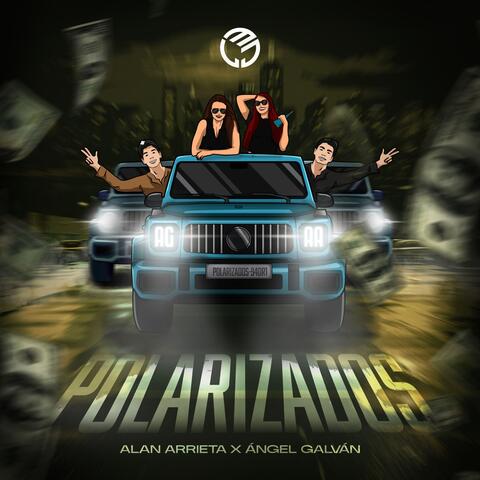 POLARIZADOS