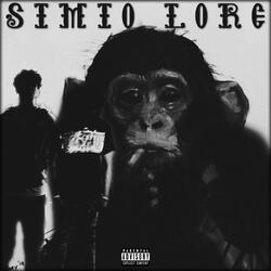 SIMIO LORE
