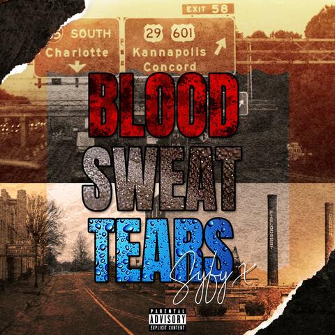 Blood Sweat Tears