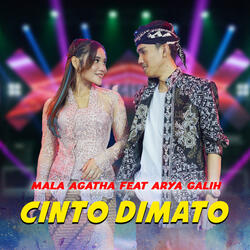 Cinto Dimato