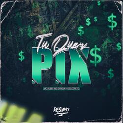 TU QUER PIX
