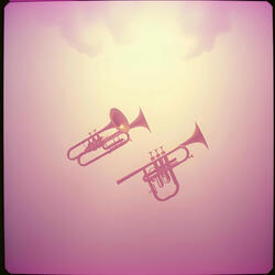 Can't Sing This Song