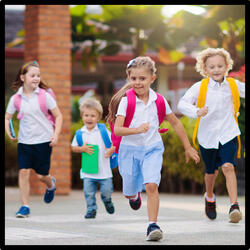 Os vintes amigos do corpo