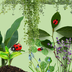 Joaninha joaninha corajosa poderosa