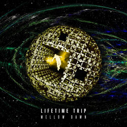 Lifetime Trip