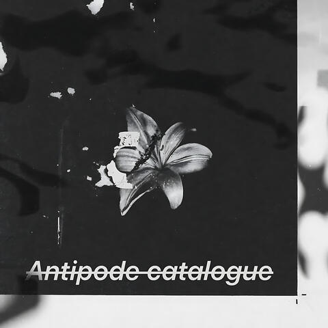 Antipode Catalogue 1