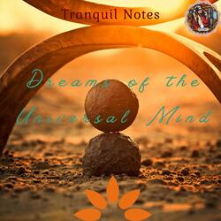 Meditations on the Reflection of the Mind