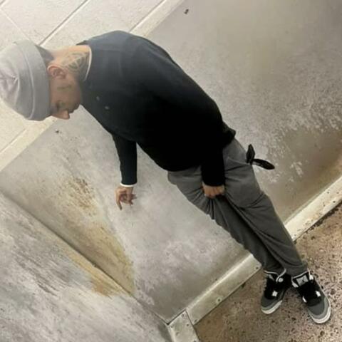 TrapWdaStrap Undecided