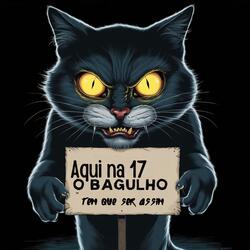 AQUI NA 17 O BAGULHO TEM QUE SER ASSIM