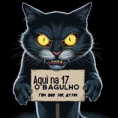 AQUI NA 17 O BAGULHO TEM QUE SER ASSIM