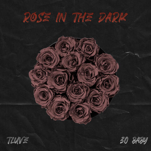 Rose in the Dark