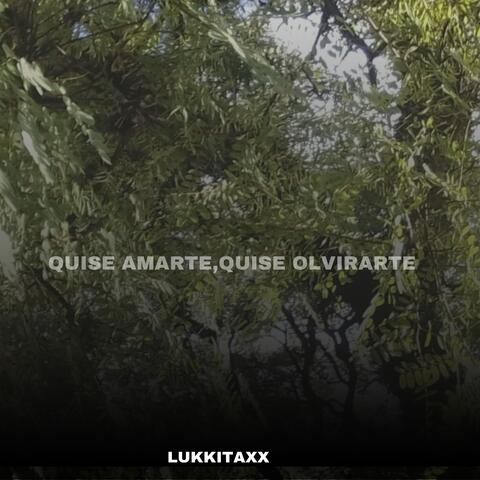quise amarte, quise olvidarte