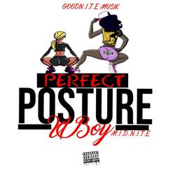 Perfect Posture