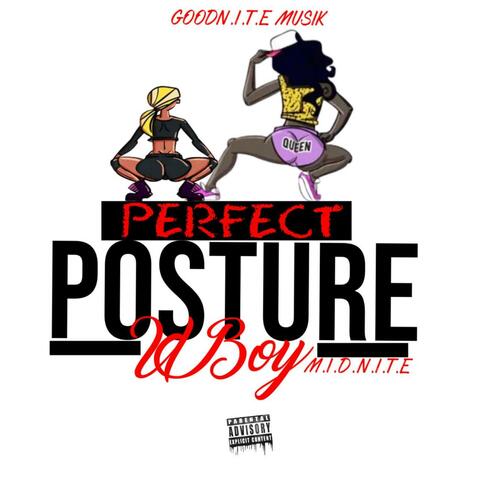 Perfect Posture