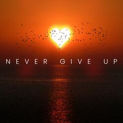 Never Give Up