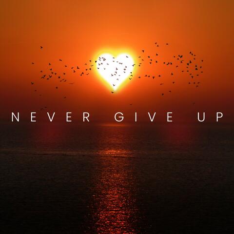 Never Give Up