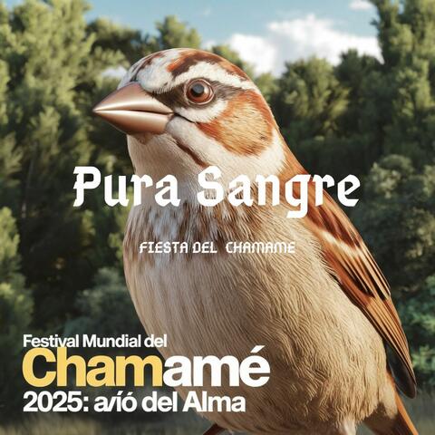 Pura Sangre en Avio del Alma: Fiesta Nacional del Chamamé 2025