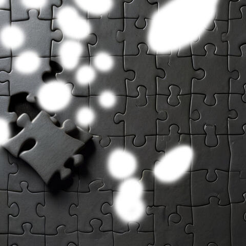The Missing Puzzle Piece