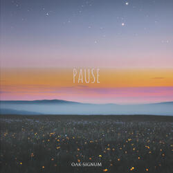 Pause