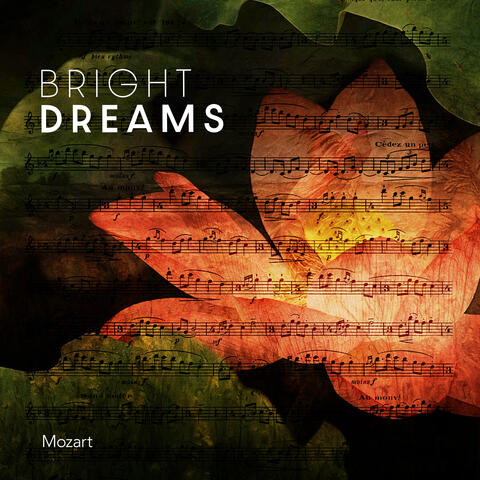 Bright Dreams