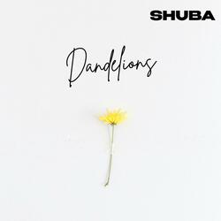 Dandelions