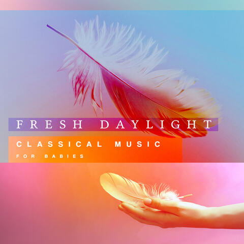 Fresh Daylight