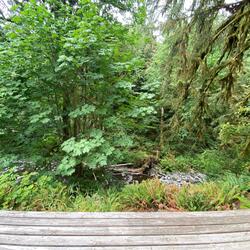 Down Bad/ Closed Thoughts 2