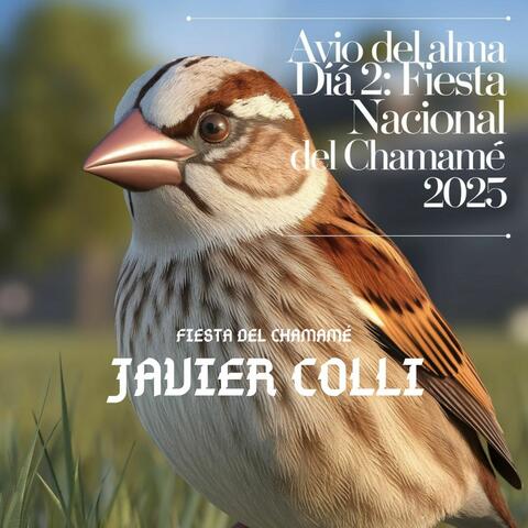 Javier Colli en Avio del Alma, Dia 2: Fiesta Nacional del Chamamé 2025