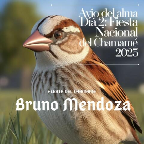 Bruno Mendoza en Avio del Alma, Dia 2: Fiesta Nacional del Chamamé 2025