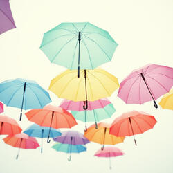 Together, We Shine Brighter