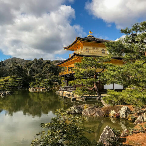 25 Songs With Nature: Sounds for Focus