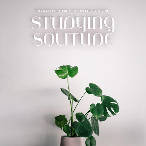 Studying Solitude