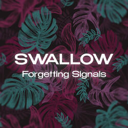 Forgetting Signals