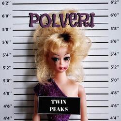 POLVERI