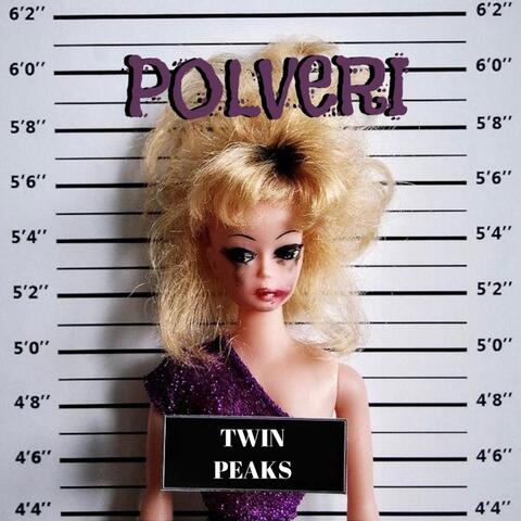 POLVERI