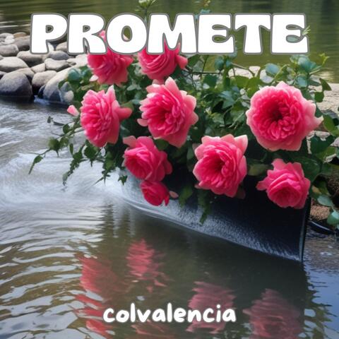 Promete