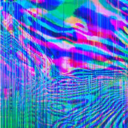 XAN FREESTYLE