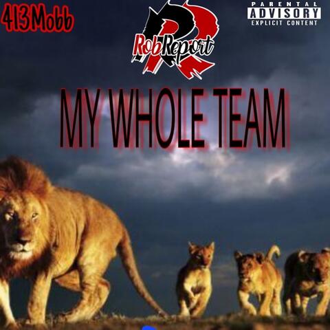 My Whole Team