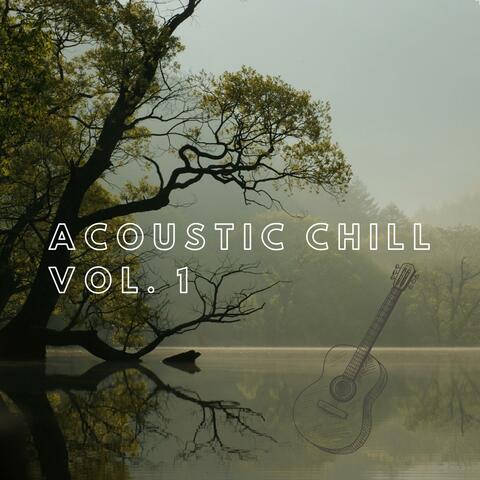 Acoustic Chill, Vol. 1