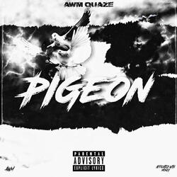 Pigeon